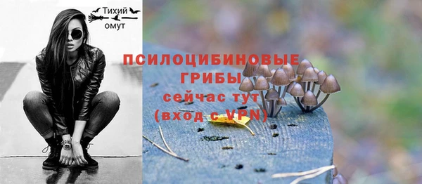 прущие грибы Переславль-Залесский
