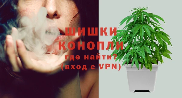 меф Пестово