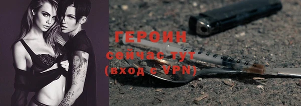 прущие грибы Переславль-Залесский