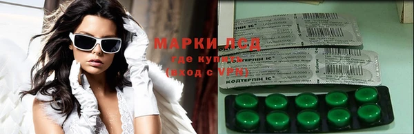 ПСИЛОЦИБИНОВЫЕ ГРИБЫ Пересвет