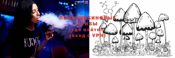 ПСИЛОЦИБИНОВЫЕ ГРИБЫ Пересвет