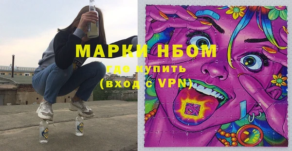 ПСИЛОЦИБИНОВЫЕ ГРИБЫ Пересвет