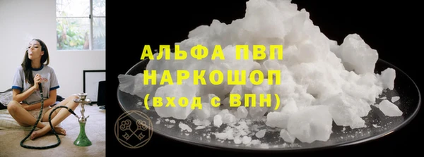 прущие грибы Переславль-Залесский