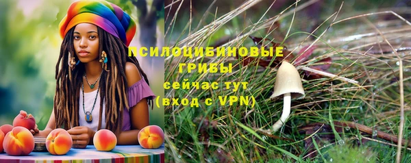 герыч Покачи