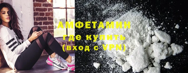 прущие грибы Переславль-Залесский