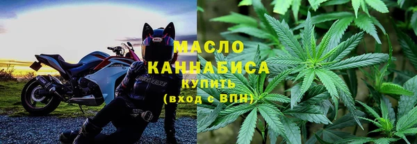 прущие грибы Переславль-Залесский