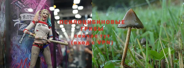 МДПВ Покровск