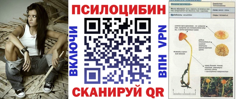 Псилоцибиновые грибы мицелий  Артёмовский 